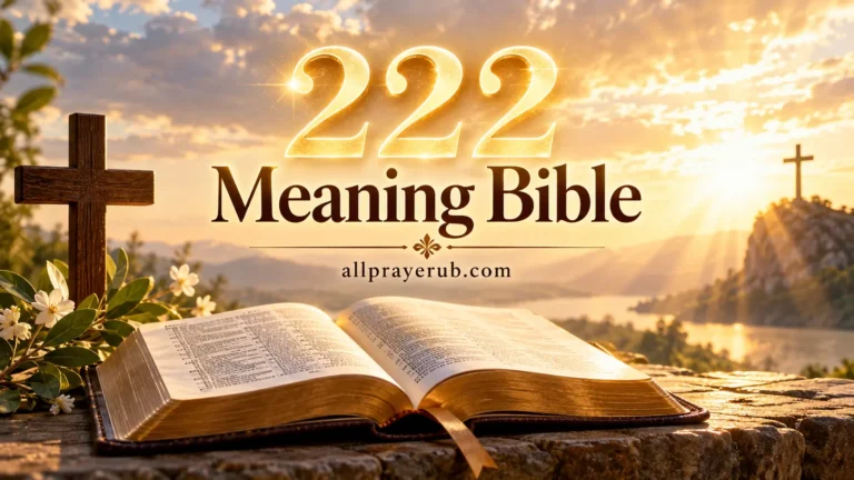222 Meaning Bible